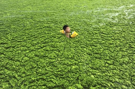 Hình ảnh: Những nguồn nước ô nhiễm khủng khiếp ở Trung Quốc số 5