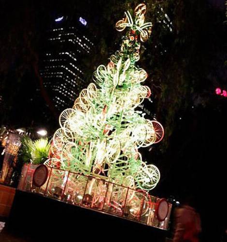 Những cây thông Noel