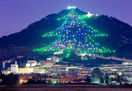 Light Christmas tree