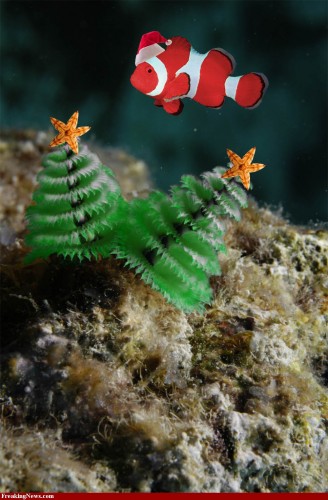 Christmas Tree Worms Customised!