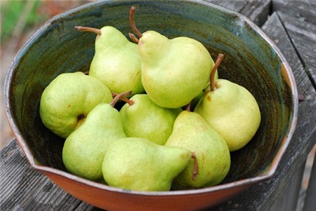 Top 10 trái cây tốt cho người bị bệnh tiểu đường 4