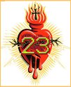 23