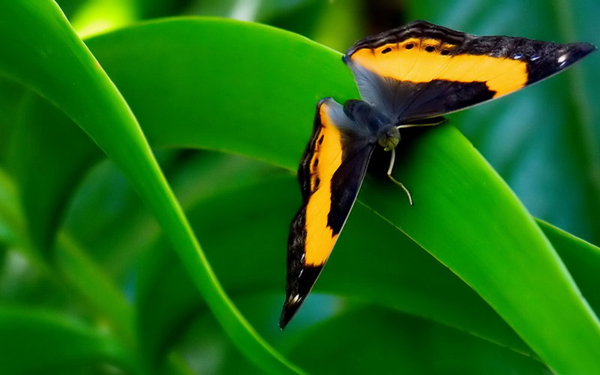Ảnh Đẹp 4