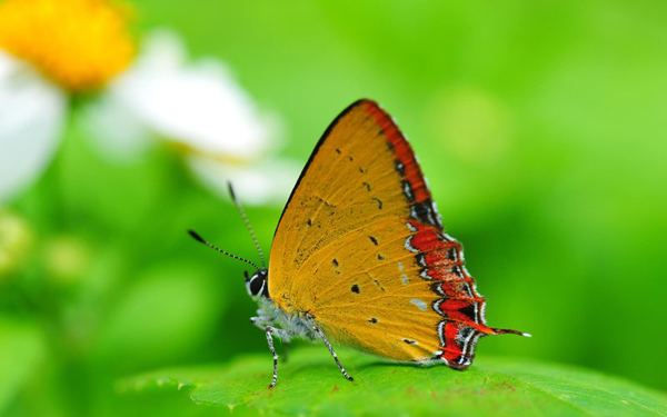 Ảnh Đẹp 17