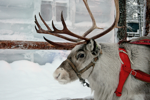 Sổ tay du lịch so tay du lich Sotaydulich Sotay Dulich Khampha Kham Pha Bui Nhung thanh pho tuyet nhat de don Giang sinh tren the gioi