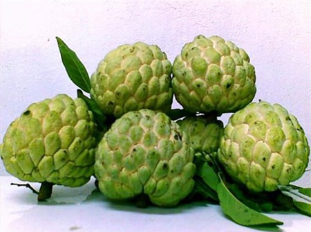 13 loại trái cây càng ăn càng nổi mụn - 5